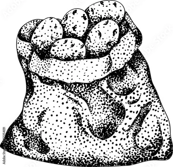 Fototapeta A detailed black and white engraving of a sack filled with potatoes, showcasing intricate dot shading and classic illustration style. Ideal for rustic or vintage designs.