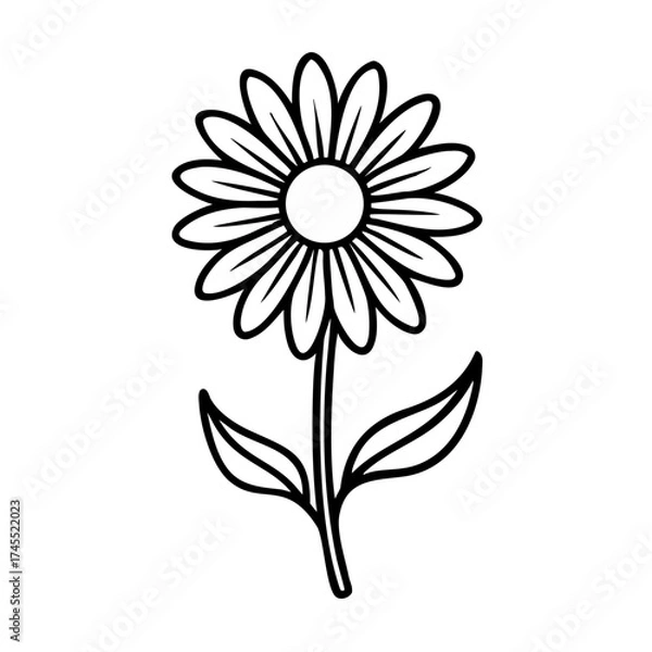 Fototapeta white flower isolated on white background