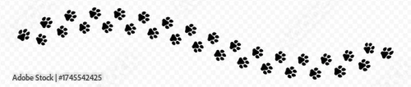 Obraz Paw print of dog isolated on transparent background. cat paw print. cat walk foot print. Paw print of dog PNG