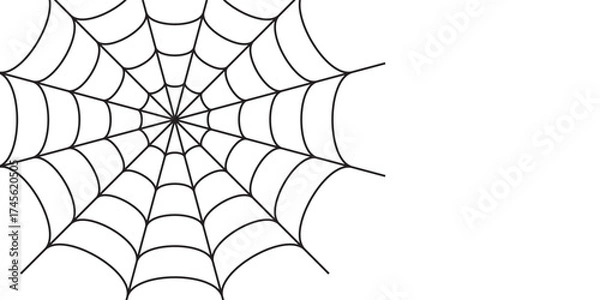 Fototapeta Halloween background of spider web on white surface.