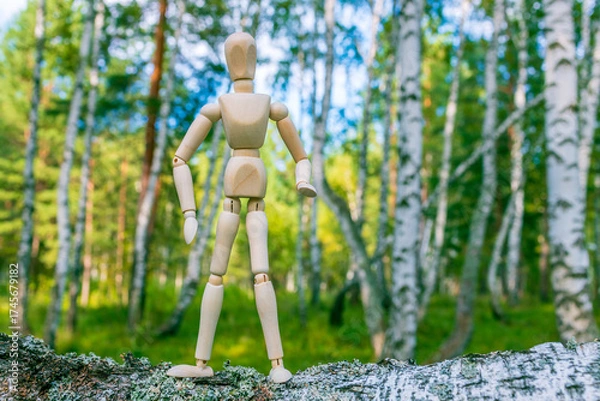Fototapeta A wooden figure stands on a log in a forest