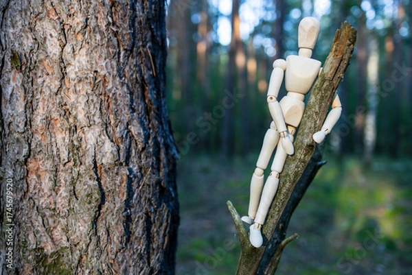 Fototapeta A wooden figure is sitting on a tree branch in a forest