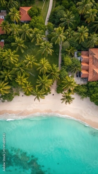 Fototapeta Aerial view of tropical beach with palm trees and turquoise water, showcasing serene coastal resort
