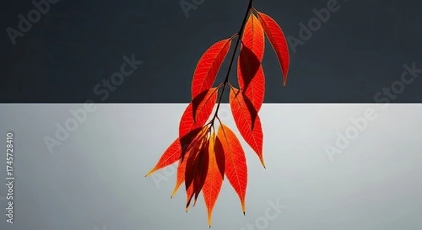 Fototapeta Vibrant Red Autumn Leaves Against Gradient Background