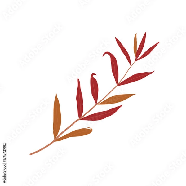 Fototapeta Twig with leaves on white background.