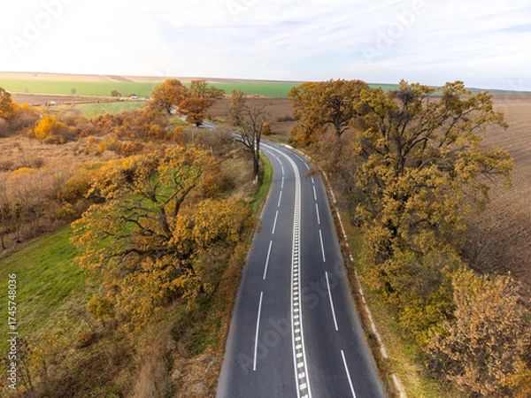 Fototapeta Aerial view of a highway in autumn season. Landscape with beautiful tres.