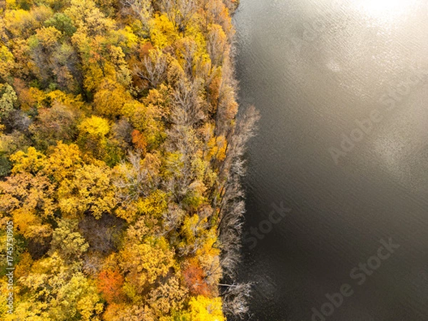 Fototapeta Aerial landscape of a forest and a lake in autumn season.