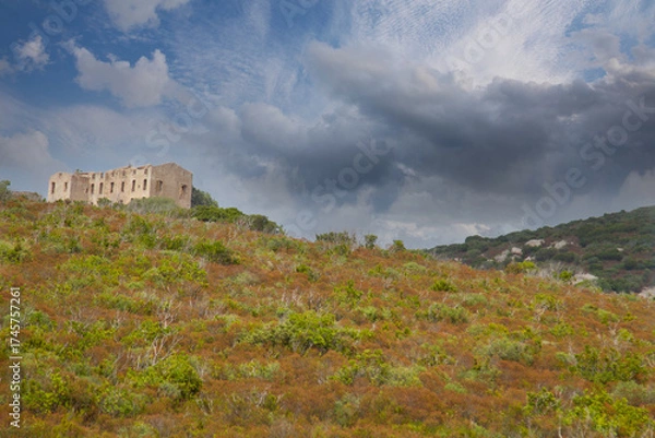 Obraz Corsica on the mediterranean sea