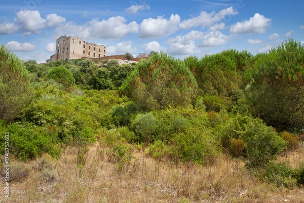 Obraz Corsica on the mediterranean sea