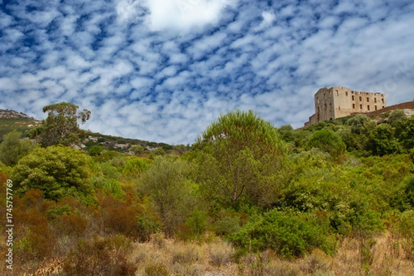 Obraz Corsica on the mediterranean sea
