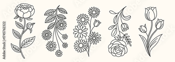 Fototapeta A charming collection of minimalist line art floral illustrations showcasing hand-drawn peonies, daisies, roses, and tulips with leaves.