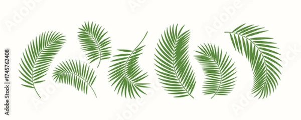 Fototapeta A vibrant collection of green tropical palm leaves creates a refreshing natural motif.