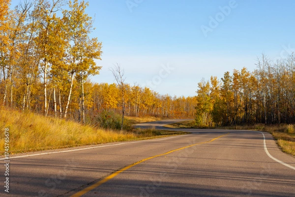 Fototapeta winding autumn road surrounded by fall coloured trees in orange and yellow