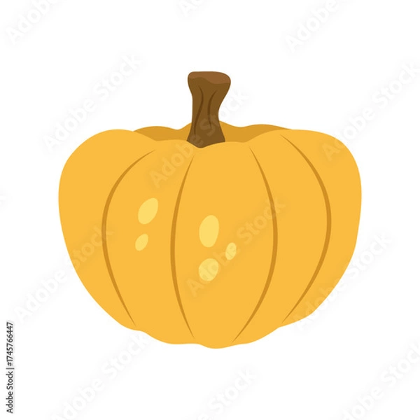 Fototapeta Ripe yellow round pumpkin isolated on a white background. Autumn food. Vector flat illustration.