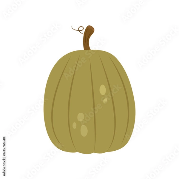 Fototapeta Ripe green round pumpkin isolated on a white background. Vector flat illustration.