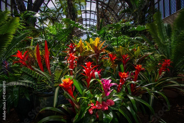 Obraz tropical flower garden