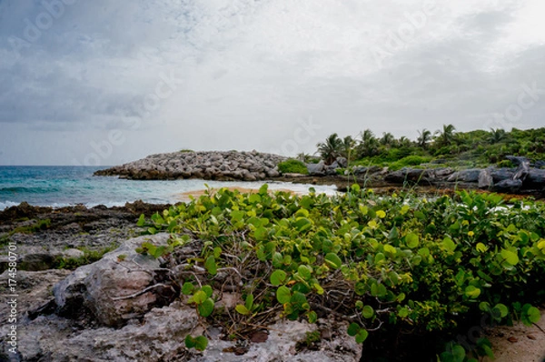 Obraz near the beach