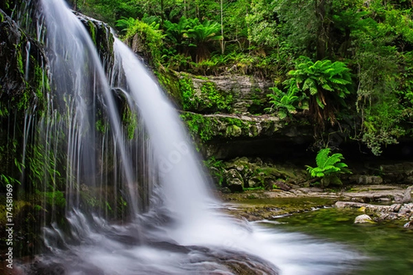 Fototapeta Liffey Falls State Reserve at the Midlands region of Tasmania, Australia..