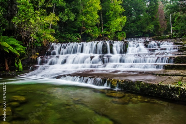 Fototapeta Liffey Falls State Reserve at the Midlands region of Tasmania, Australia..