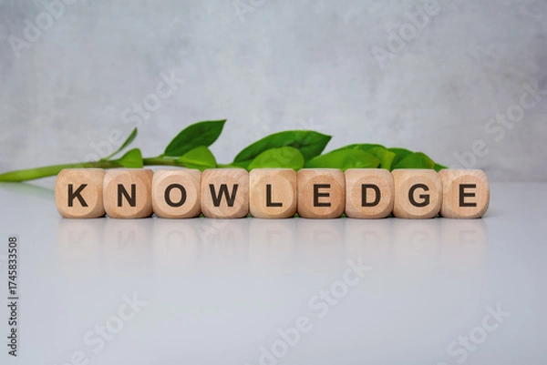 Fototapeta Wooden blocks spelling KNOWLEDGE on gray background with green leaves