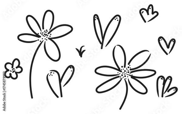 Fototapeta Simple flower line art, Hand-drawn floral sketch, Minimal doodle design