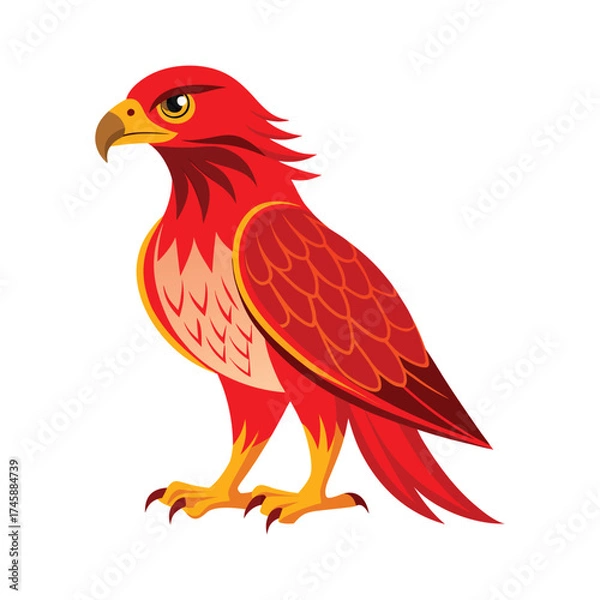 Obraz Red tailed hawk bird vector illustration