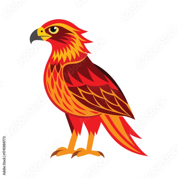 Obraz Red tailed hawk vector illustration