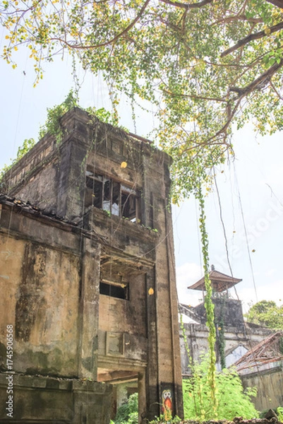 Obraz Building with vines growing on it