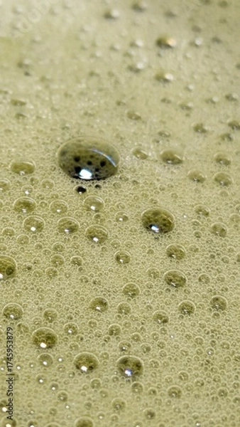 Fototapeta Matcha Foam Macro Series