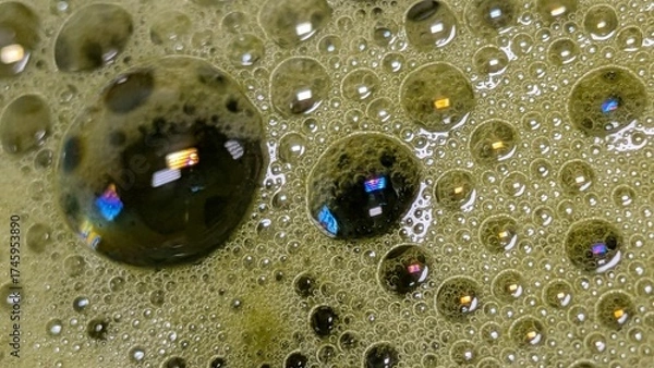 Obraz Matcha Foam Macro Series