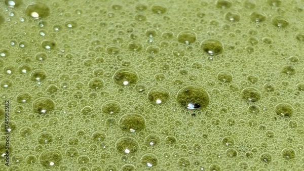 Obraz Matcha Foam Macro Series
