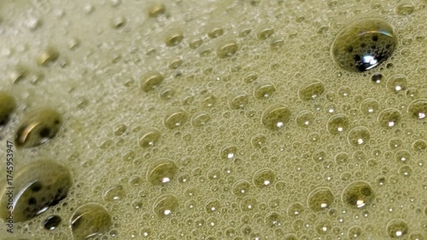 Obraz Matcha Foam Macro Series