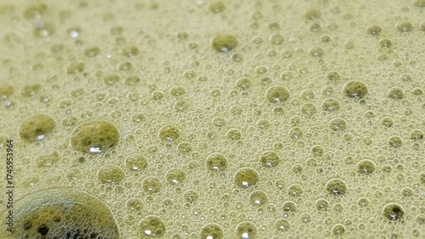 Obraz Matcha Foam Macro Series
