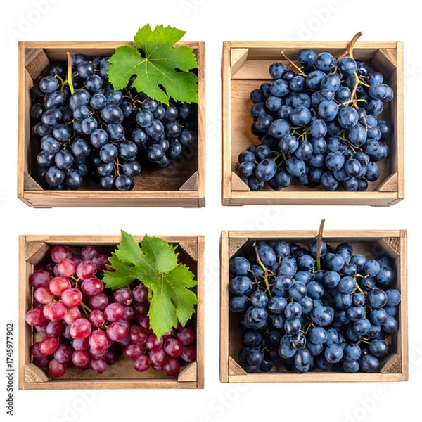 Obraz Four wooden boxes displaying grapes red & blue/purple clusters with green leaves