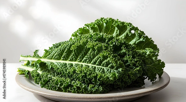 Fototapeta Fresh curly green kale leaves on a simple light-colored plate, captured with natural light and shadows, minimalist