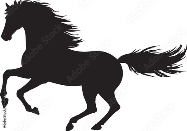 Obraz 躍動感のある馬のシルエット、ベクターイラスト
