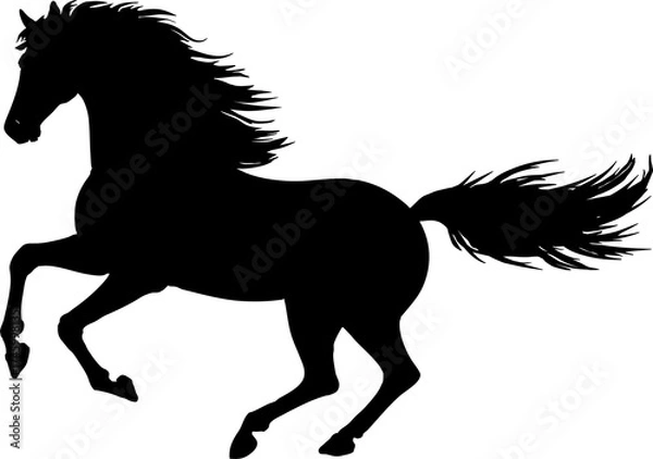 Obraz 躍動感のある馬のシルエット、イラスト、切り抜き素材