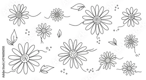 Fototapeta A collection of daisy flower sketches and leaf drawings