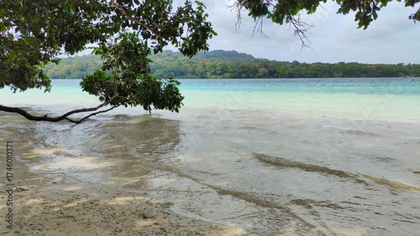 Obraz Serenity Beneath the Branches – Nature’s Peace by the Shore