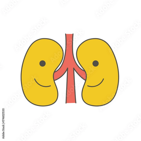 Fototapeta 腎臓のかわいいイラスト