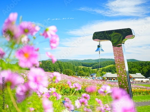 Obraz 北海道の絶景 太陽の丘えんがる公園