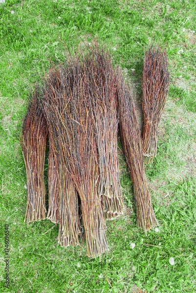 Fototapeta bunches twigs are gathered to form natural brooms. these are commonly used for sweeping and cleaning roadways in outdoor environments. perfect for eco-friendly cleaning methods. close up. vertical.