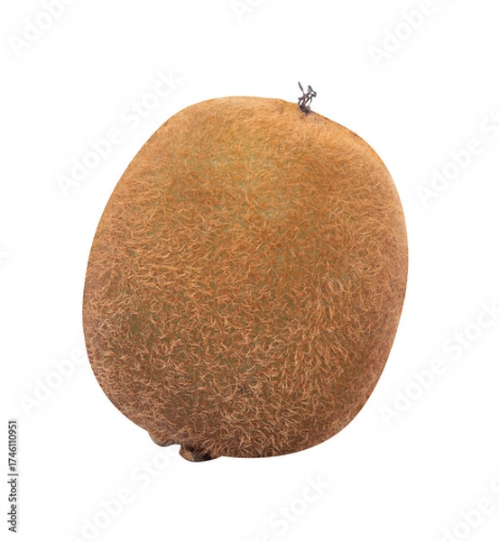 Fototapeta single kiwi isolated on white background