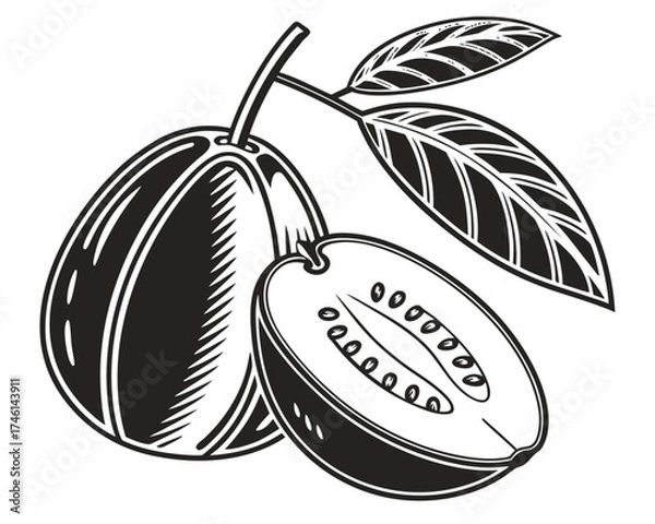 Fototapeta Stylized illustration of a whole and halved feijoa fruit with leaves