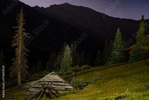 Obraz Violet Nighscape