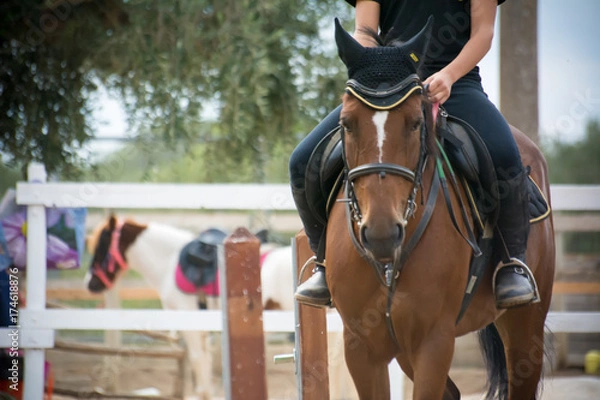 Fototapeta rider riding a horse standing by before a competition