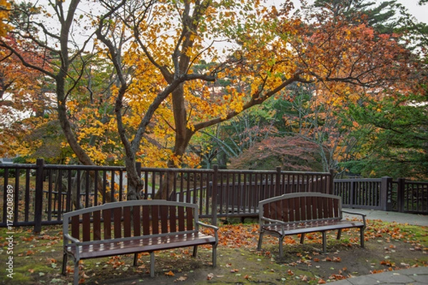 Obraz 紅葉に包まれた公園のベンチ