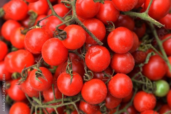 Fototapeta Little red cherry tomatoes nature background.