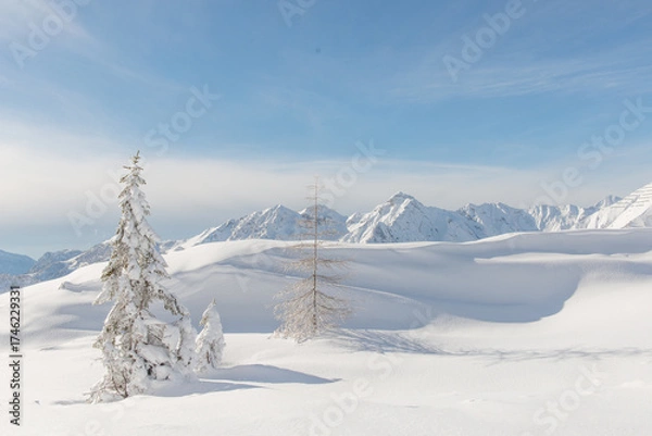 Fototapeta Mountain landscape after big snowfall