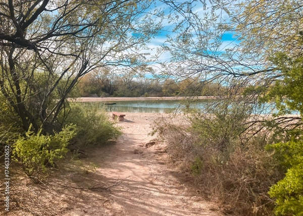 Obraz Path through the trees and brush leading to Quitobaquito Springs in the Organ Pipe Cactus National Monument next to the US-Mexico border outside Ajo, Arizona, USA